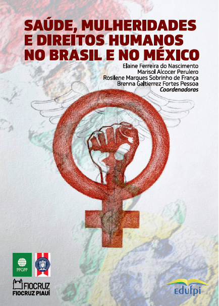 Saúde mulheridades e direitos humanos no Brasil e no México CAPA