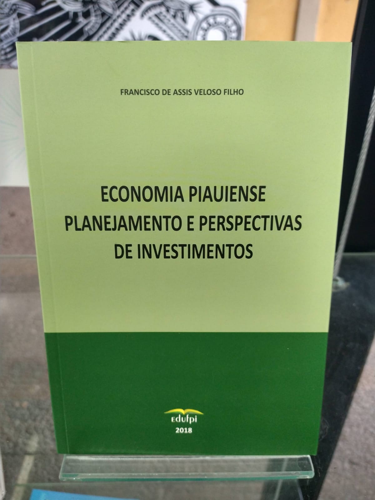 ECONOMIA PIAUIENSE