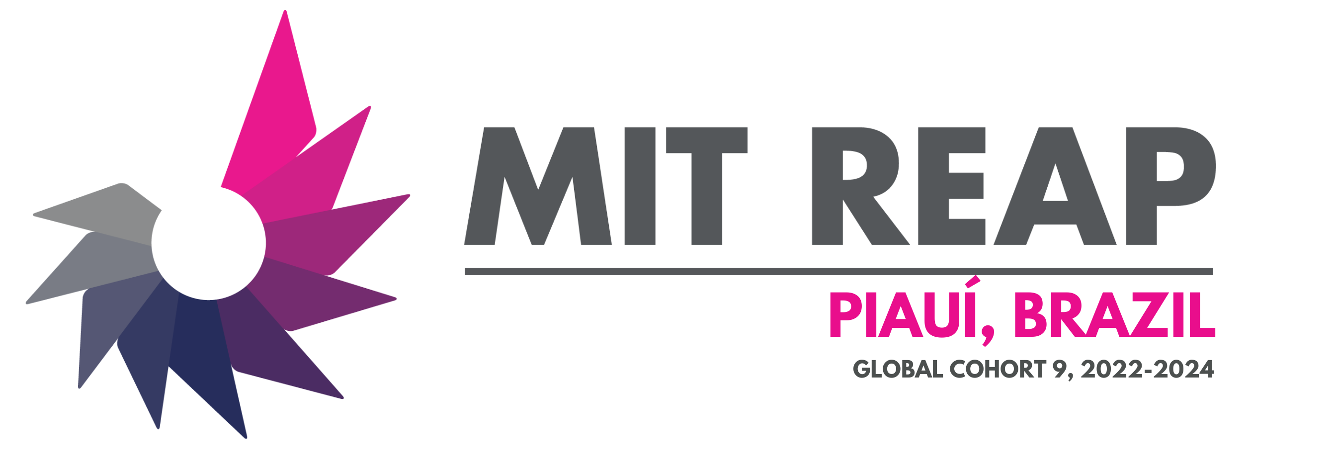 MITREAP_C9_Team_Logo_Piaui_solid.png