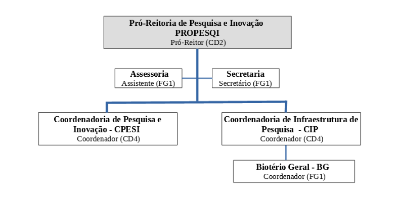 organograma 2021 copy