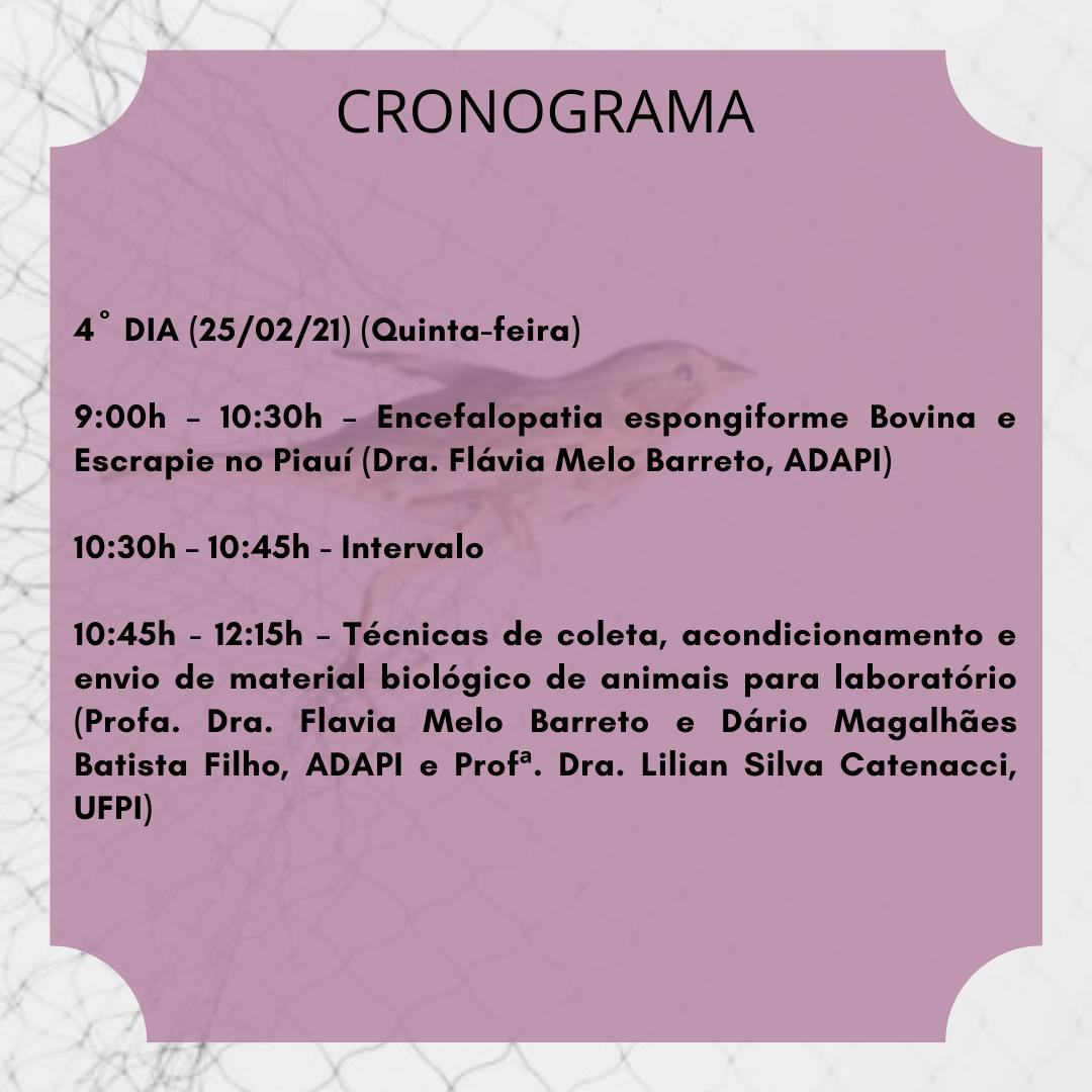 Programação_quarto_dia_25_fev_1.jpg