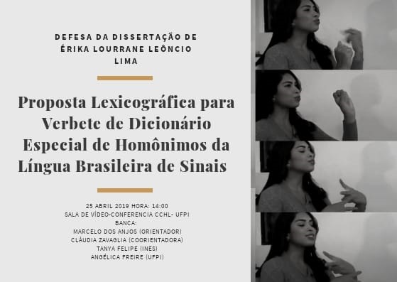 apresentacao erika lima20190329100033