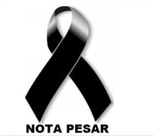 nota de pesa imagem20190708103244