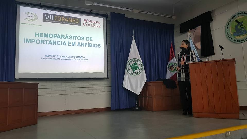 palestracopaneo720180704120044