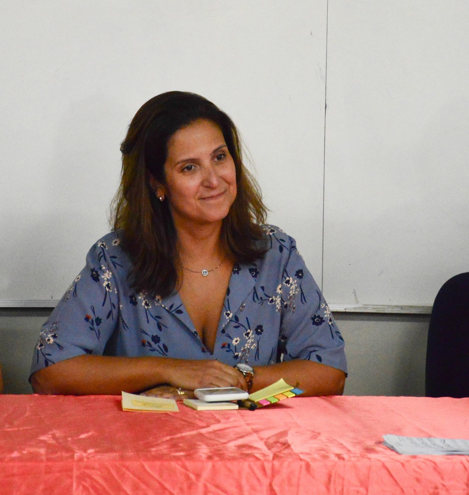 profa romina preg20190829145214