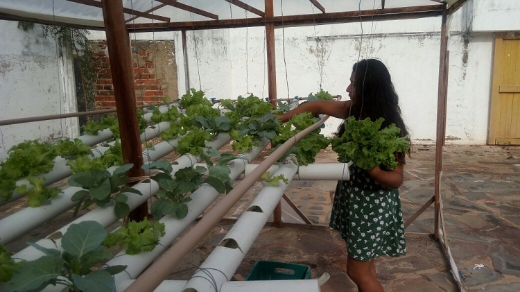 projeto parnaiba 1
