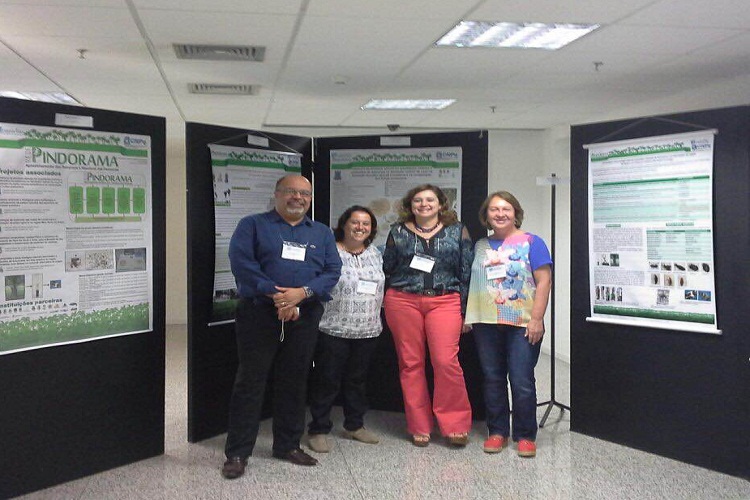 reuniao cnpq